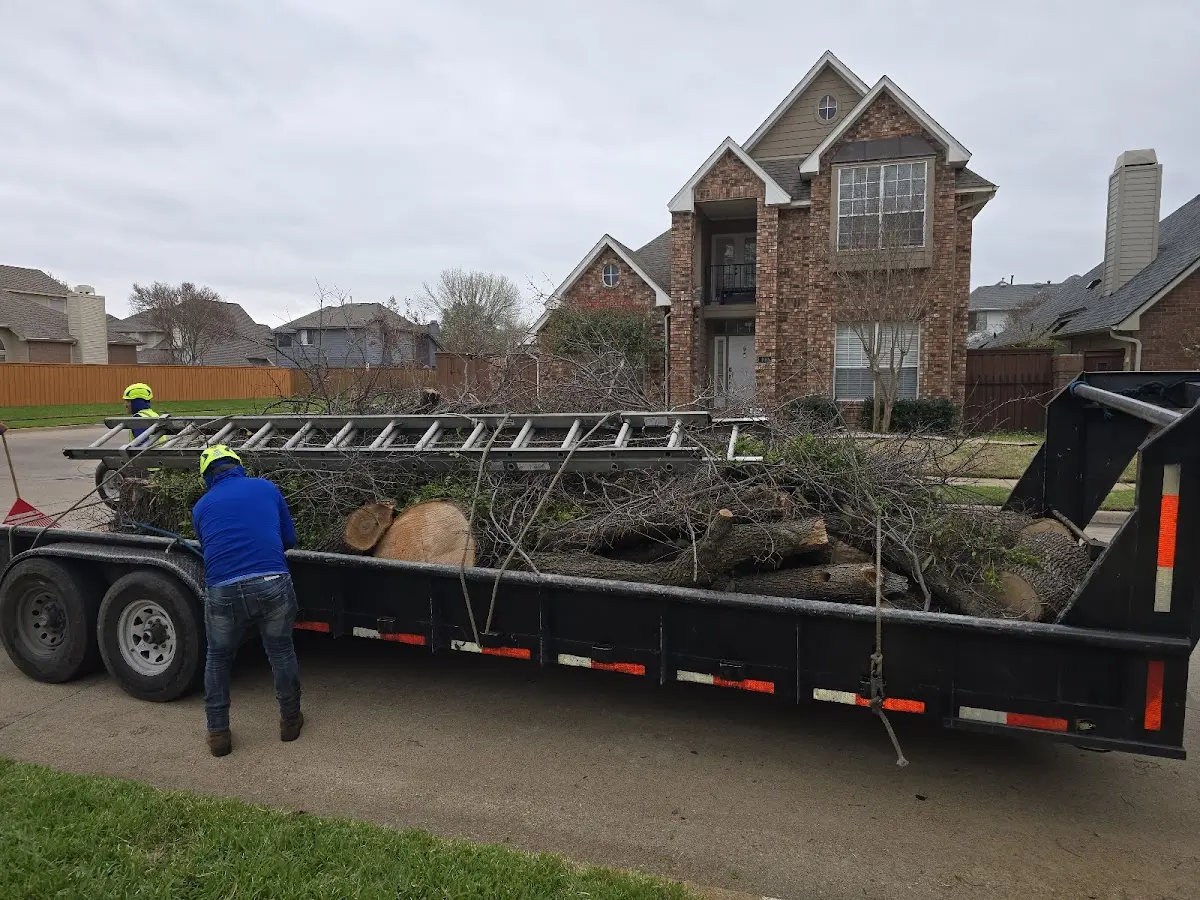 Expert Crown Reduction with proper safety equipment in Goliad